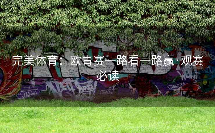 完美体育:欧青赛一路看一路赢·观赛必读