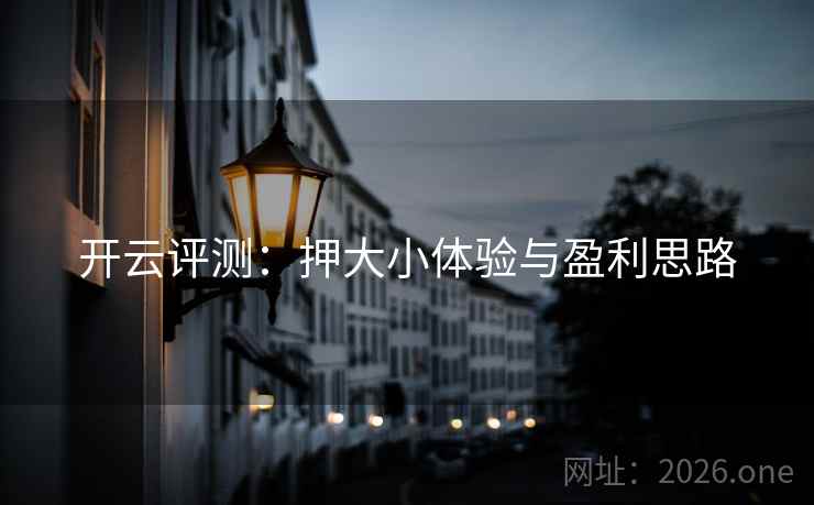 开云评测:押大小体验与盈利思路