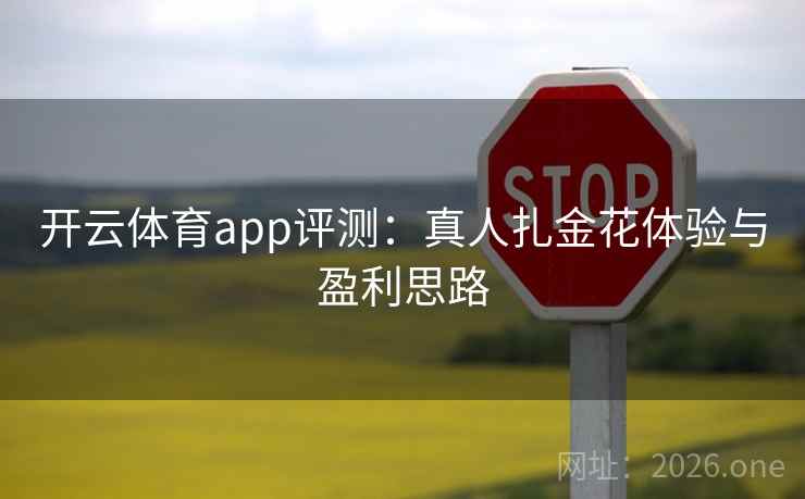 开云体育app评测:真人扎金花体验与盈利思路