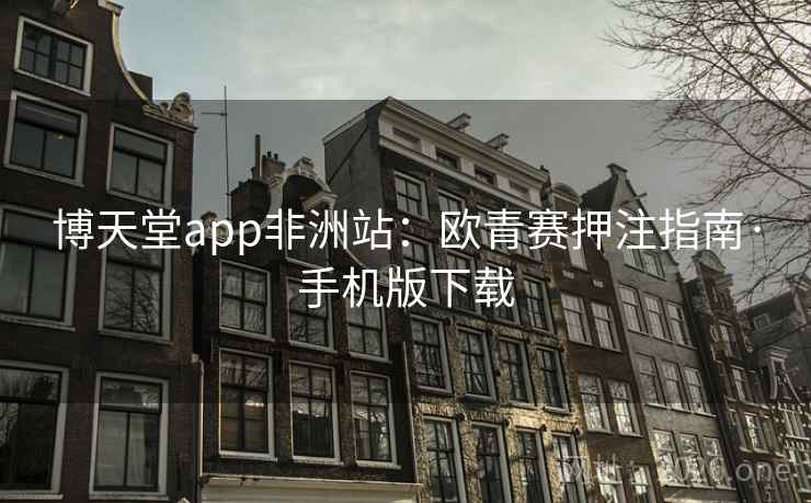 博天堂app非洲站:欧青赛押注指南·手机版下载