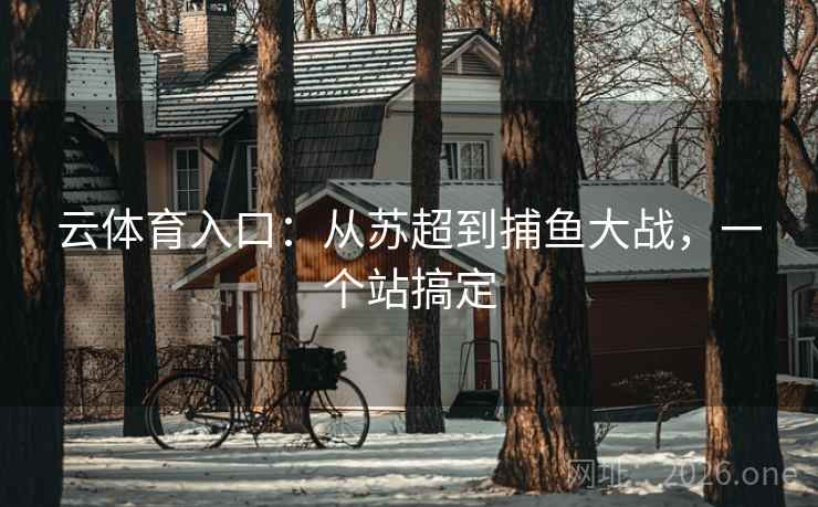 云体育入口：从苏超到捕鱼大战，一个站搞定